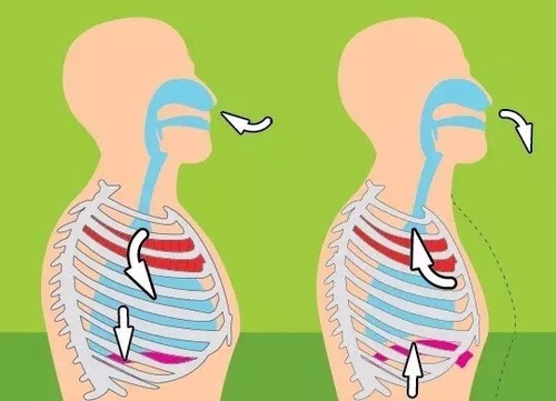 胸腔呼吸.jpg